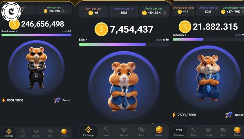hamster kombat